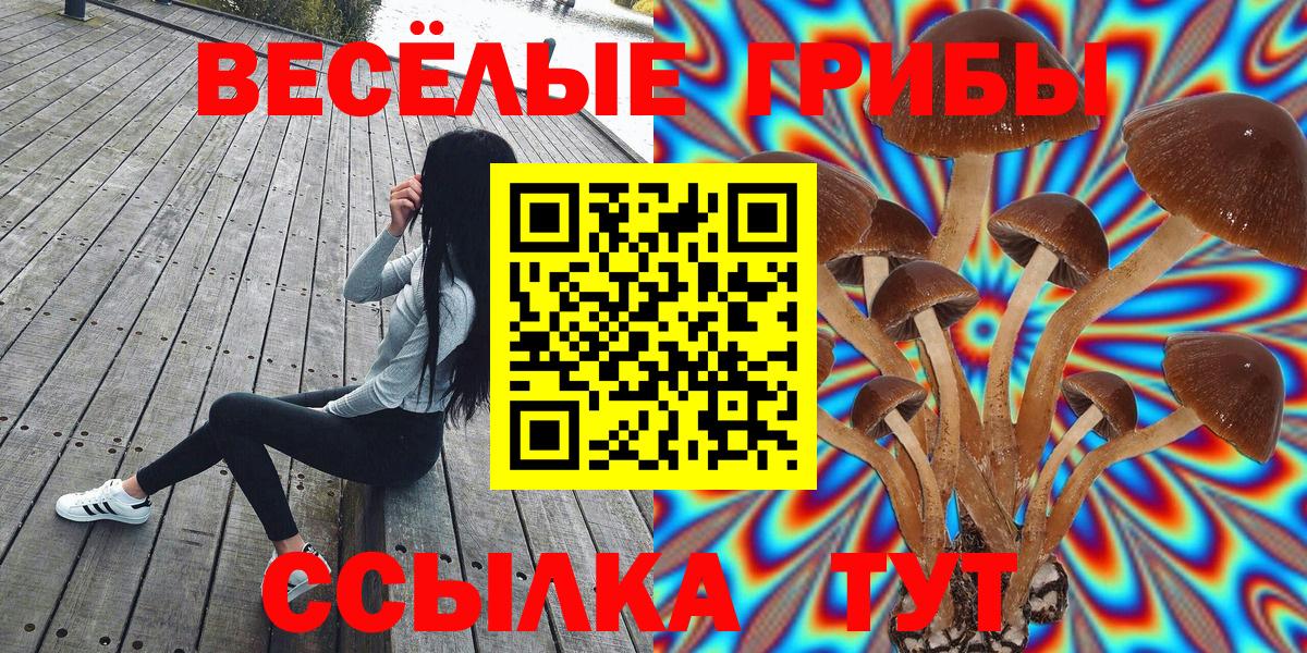 Анапа  Галлюциногенные грибы Cubensis  купить наркотики цена  Вход с VPN 